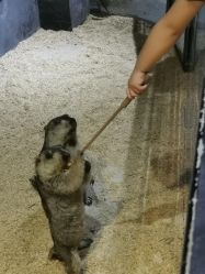 -酷嗒动物文化乐园(cutezoo西溪乐天城店)