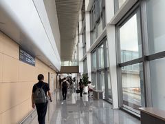 -青岛胶东国际机场