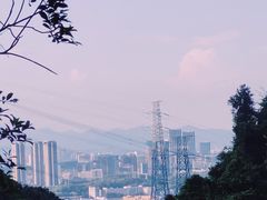 -马峦山郊野公园