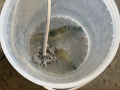 -粮心小农·大头虾亲子生态园(长发店)