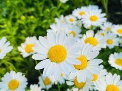 -北京植物园南门售票处