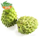 良心推荐，最正宗好吃的释迦果