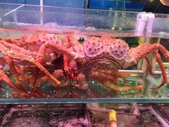 -日进一片海.生腌海鲜火锅.宵夜烧烤(三里屯总店)