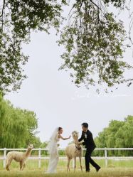 -北遇映画PHOTO GRAPHY STUDIO
