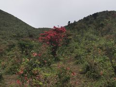 -广东天露山旅游度假区