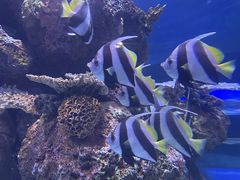 -成都浩海立方海洋公园