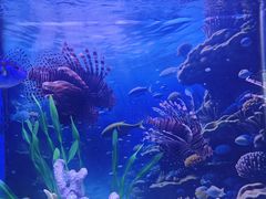 -多彩贵州城极地海洋世界