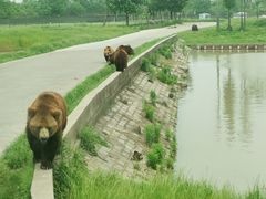 -上海野生动物园