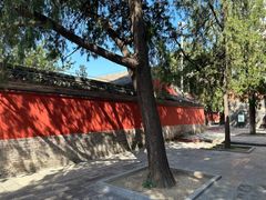 -妙应寺白塔