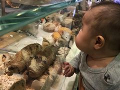 -PAPER STONE BAKERY(天汇广场店)