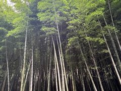 -苏州环秀晓筑养生度假村