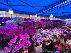 -东川新街市(东川市场店)