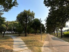 -深圳湾公园(南山区)