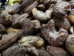 -小宝栗子(嘉华国际商业中心店)