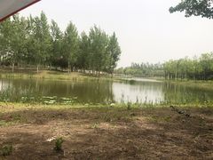 -东郊湿地公园