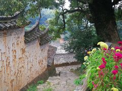 -杨家堂村