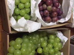 -马陆小张葡萄园农家乐