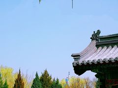 -莲花池公园