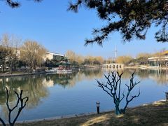 -钓鱼台国宾馆
