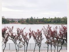 -美兰湖景区