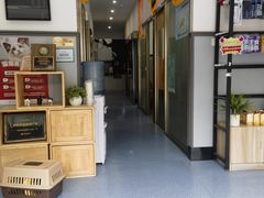 -伟伟宠物医院·瑞派猫友好医院·猫科(光谷店)