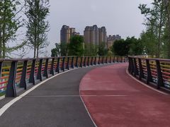 -府河摄影公园