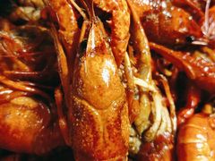 -霸王虾·麻辣小龙虾(清水河公园店)