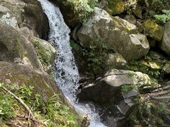 -大围山国家森林公园