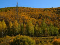 -塞罕坝国家级自然保护区