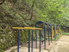 -沣峪森林公园龙潭戏水景区
