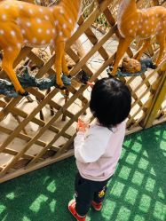 -萌宠亲子动物乐园(槐房万达店)