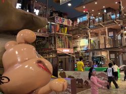 -卡通尼·Safari非洲探索乐园·生日会(金桥国际商业广场店)