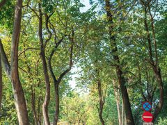 -广东外语外贸大学(白云山校区)