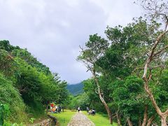 -杨梅坑