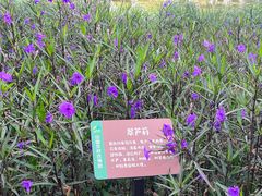 -中国天府农业博览园