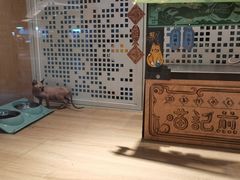 -BABIT巴比特宠物(MOMOPARK店)