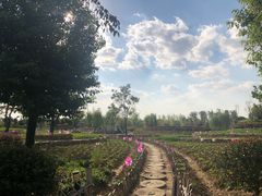 景点-嬉乐湾休闲旅游区