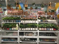 -KKV(重庆光环购物公园店)