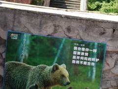 -哈尔滨北方森林动物园