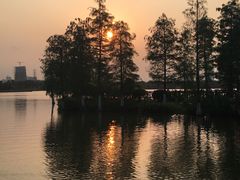 -海珠湖公园