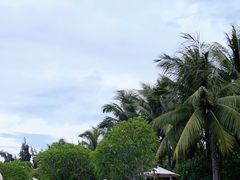 -海南清水湾莱佛士酒店