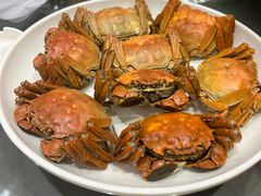 -Wagas沃歌斯(北京君太百货店)