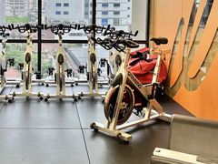 -健身专家Wellness Experts