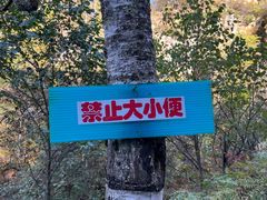 -茅兰沟国家森林公园