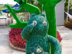 -建华生态湿地百荷园