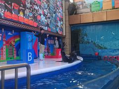 -成都浩海立方海洋公园