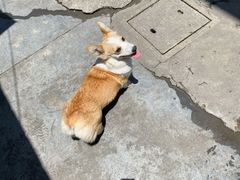 -HONGA HONGA雄家(曹路店)