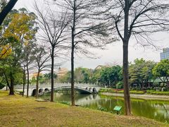-顺峰山公园
