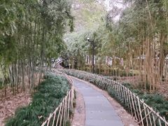 -西湖游船