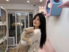 -青奢宠物·青奢猫舍